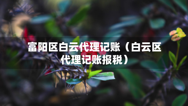 富陽區(qū)白云代理記賬（白云區(qū)代理記賬報稅）