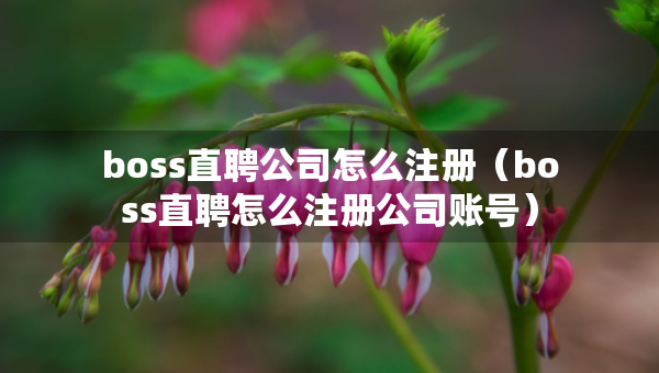 boss直聘公司怎么注冊(cè)（boss直聘怎么注冊(cè)公司賬號(hào)）