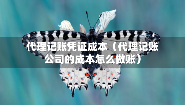 代理記賬憑證成本（代理記賬公司的成本怎么做賬）