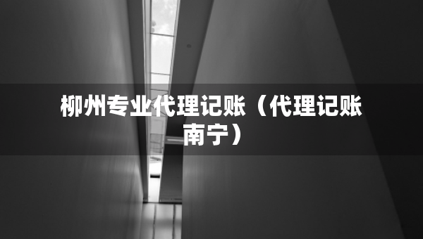 柳州專業(yè)代理記賬（代理記賬南寧）