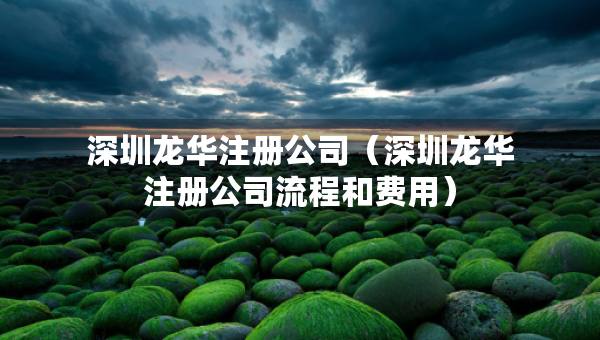 深圳龍華注冊(cè)公司（深圳龍華注冊(cè)公司流程和費(fèi)用）