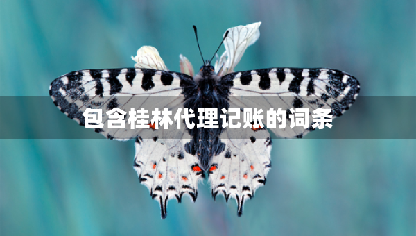 包含桂林代理記賬的詞條