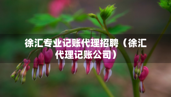 徐匯專業(yè)記賬代理招聘（徐匯代理記賬公司）