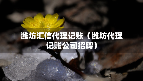 濰坊匯信代理記賬（濰坊代理記賬公司招聘）