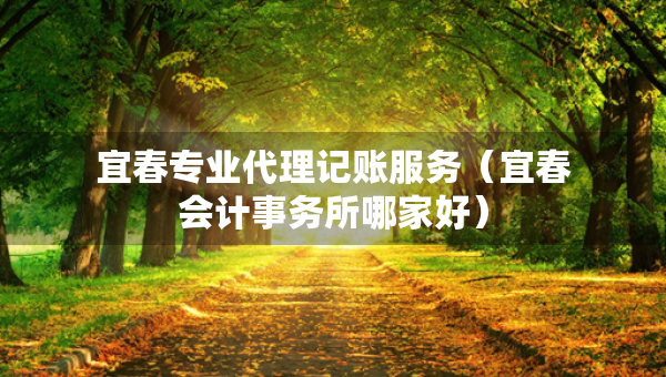 宜春專(zhuān)業(yè)代理記賬服務(wù)（宜春會(huì)計(jì)事務(wù)所哪家好）