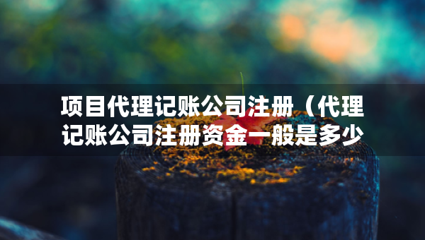 項(xiàng)目代理記賬公司注冊(cè)（代理記賬公司注冊(cè)資金一般是多少）