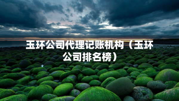 玉環(huán)公司代理記賬機(jī)構(gòu)（玉環(huán)公司排名榜）