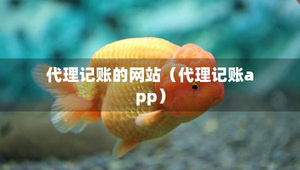 代理記賬的網(wǎng)站（代理記賬app）