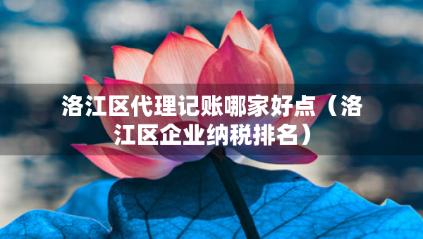 洛江區(qū)代理記賬哪家好點(diǎn)（洛江區(qū)企業(yè)納稅排名）