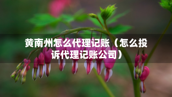 黃南州怎么代理記賬（怎么投訴代理記賬公司）