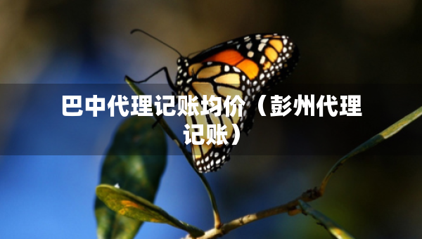 巴中代理記賬均價（彭州代理記賬）