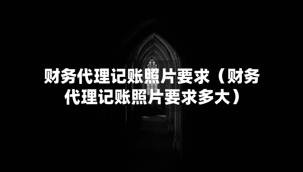 財(cái)務(wù)代理記賬照片要求（財(cái)務(wù)代理記賬照片要求多大）