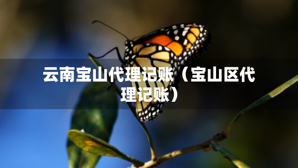 云南寶山代理記賬（寶山區(qū)代理記賬）