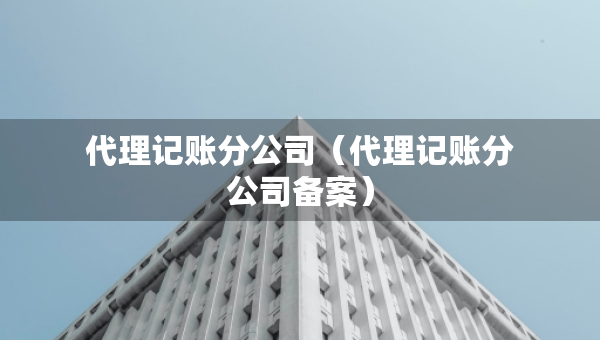 代理記賬分公司（代理記賬分公司備案）