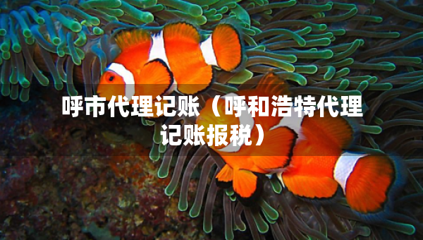 呼市代理記賬（呼和浩特代理記賬報(bào)稅）