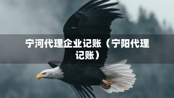 寧河代理企業(yè)記賬（寧陽代理記賬）