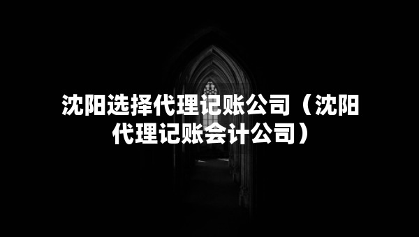 沈陽選擇代理記賬公司（沈陽代理記賬會計公司）