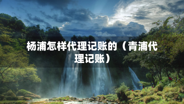 楊浦怎樣代理記賬的（青浦代理記賬）