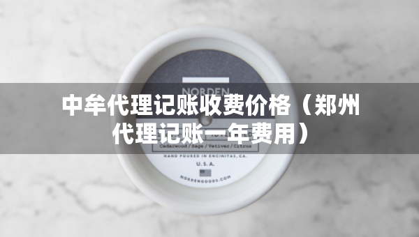 中牟代理記賬收費價格（鄭州代理記賬一年費用）