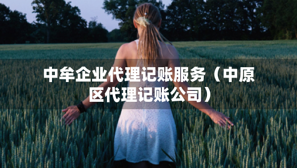 中牟企業(yè)代理記賬服務(wù)（中原區(qū)代理記賬公司）