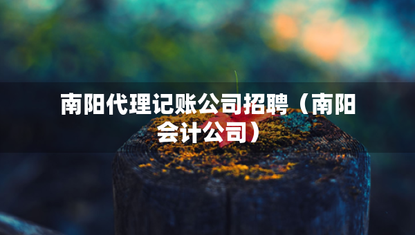 南陽(yáng)代理記賬公司招聘（南陽(yáng)會(huì)計(jì)公司）