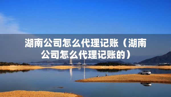 湖南公司怎么代理記賬（湖南公司怎么代理記賬的）