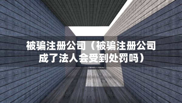 被騙注冊(cè)公司（被騙注冊(cè)公司成了法人會(huì)受到處罰嗎）