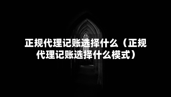 正規(guī)代理記賬選擇什么（正規(guī)代理記賬選擇什么模式）