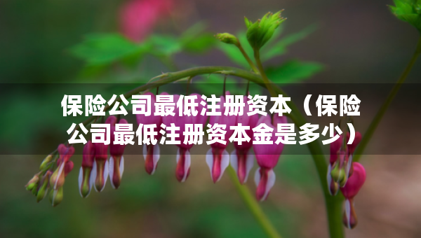 保險(xiǎn)公司最低注冊(cè)資本（保險(xiǎn)公司最低注冊(cè)資本金是多少）