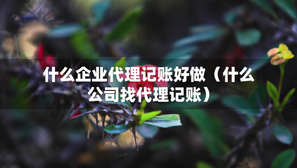 什么企業(yè)代理記賬好做（什么公司找代理記賬）