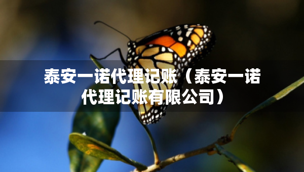 泰安一諾代理記賬（泰安一諾代理記賬有限公司）