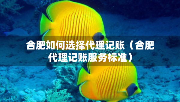 合肥如何選擇代理記賬（合肥代理記賬服務(wù)標(biāo)準(zhǔn)）