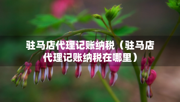 駐馬店代理記賬納稅（駐馬店代理記賬納稅在哪里）