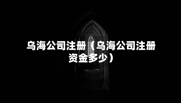 烏海公司注冊(cè)（烏海公司注冊(cè)資金多少）