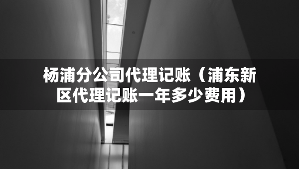 楊浦分公司代理記賬（浦東新區(qū)代理記賬一年多少費(fèi)用）