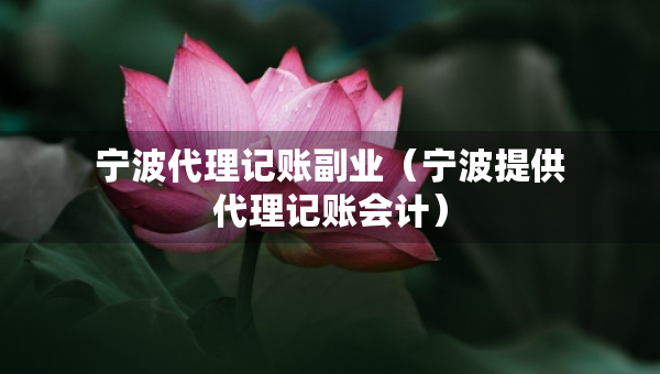 寧波代理記賬副業(yè)（寧波提供代理記賬會(huì)計(jì)）