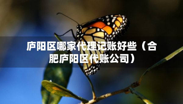 廬陽區(qū)哪家代理記賬好些（合肥廬陽區(qū)代賬公司）