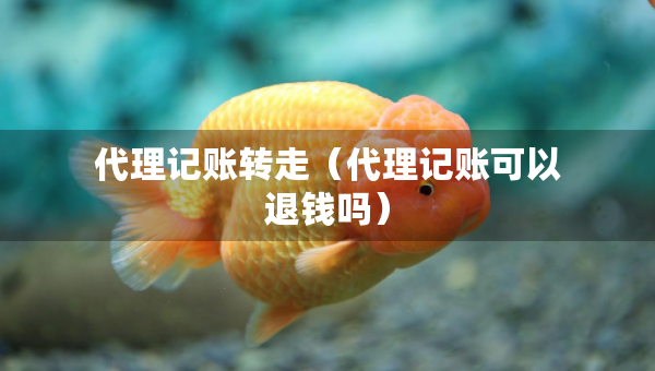 代理記賬轉(zhuǎn)走（代理記賬可以退錢嗎）