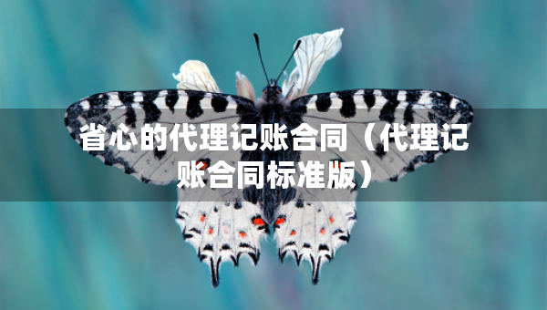 省心的代理記賬合同（代理記賬合同標(biāo)準(zhǔn)版）