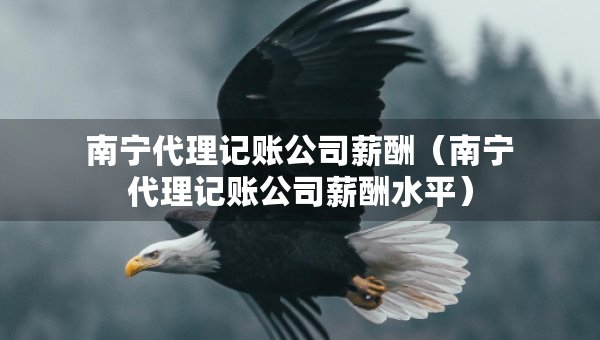 南寧代理記賬公司薪酬（南寧代理記賬公司薪酬水平）