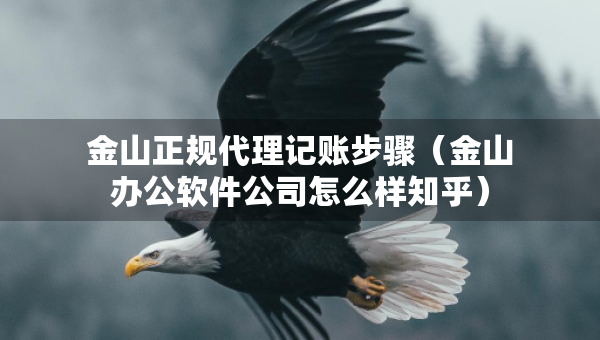 金山正規(guī)代理記賬步驟（金山辦公軟件公司怎么樣知乎）