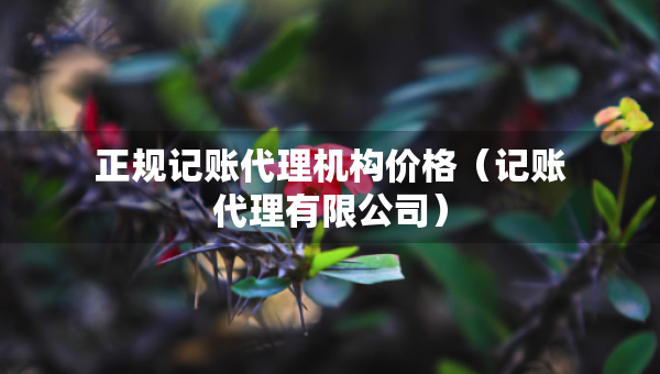 正規(guī)記賬代理機構(gòu)價格（記賬代理有限公司）