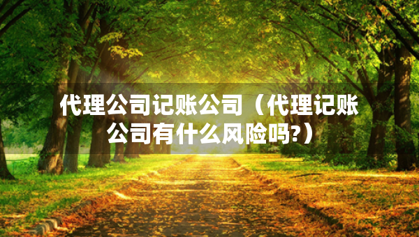 代理公司記賬公司（代理記賬公司有什么風(fēng)險(xiǎn)嗎?）