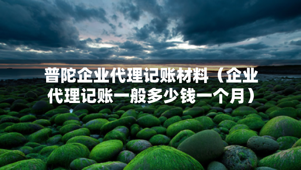 普陀企業(yè)代理記賬材料（企業(yè)代理記賬一般多少錢一個(gè)月）