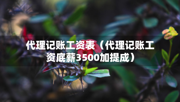 代理記賬工資表（代理記賬工資底薪3500加提成）