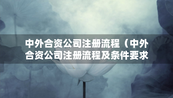 中外合資公司注冊(cè)流程（中外合資公司注冊(cè)流程及條件要求）