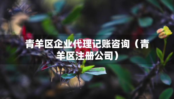 青羊區(qū)企業(yè)代理記賬咨詢（青羊區(qū)注冊公司）