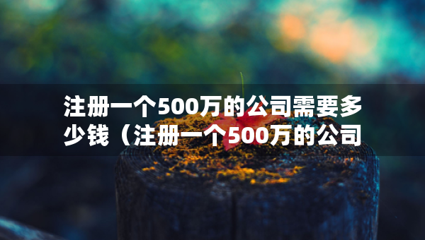 注冊一個500萬的公司需要多少錢（注冊一個500萬的公司需要多少錢費用）