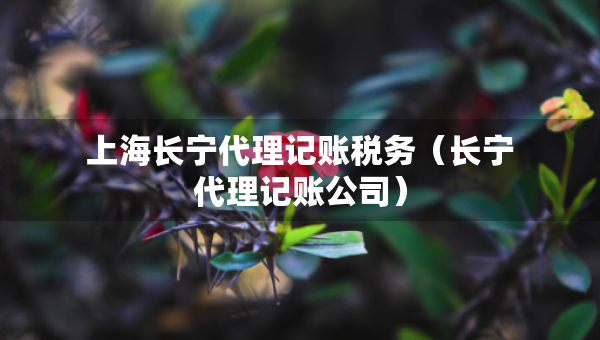 上海長(zhǎng)寧代理記賬稅務(wù)（長(zhǎng)寧代理記賬公司）
