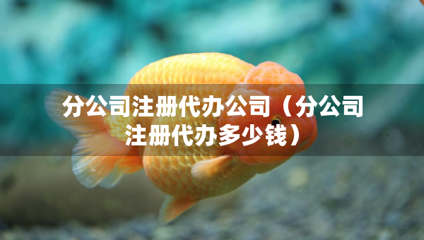 分公司注冊代辦公司（分公司注冊代辦多少錢）